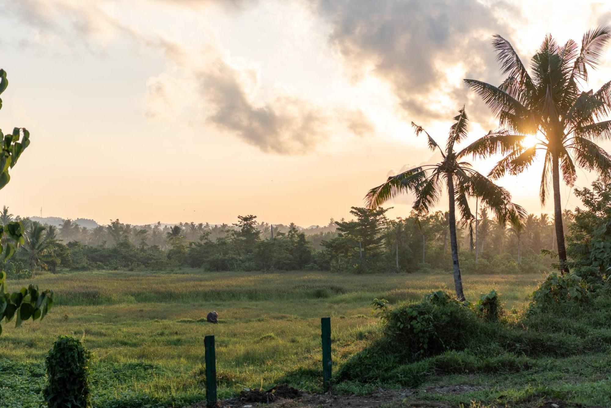 The Hillside Resort Siargao เจเนอรัลลูนา ภายนอก รูปภาพ